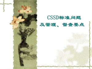 CSSD标准问题及管理、督查要点(PPT45).ppt