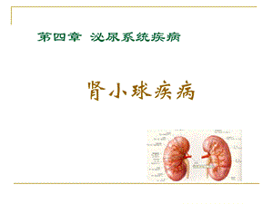 肾小球疾病ppt幻灯片.ppt