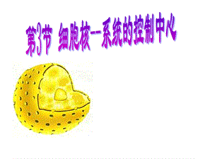 细胞核系统的控制中心.ppt
