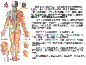 SPA机与经络养生.ppt