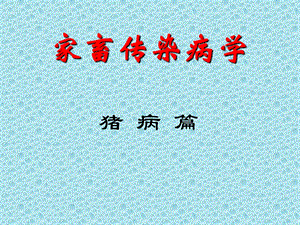 猪的传染病.ppt