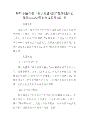 基层乡镇党委“书记党建项目”品牌创建工作情况总结暨案例成果展示汇报.docx