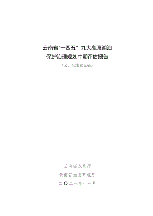云南省“十四五”九大高原湖泊保护治理规划中期评估报告.docx