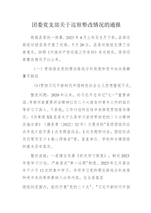 团委党支部关于巡察整改情况的通报.docx