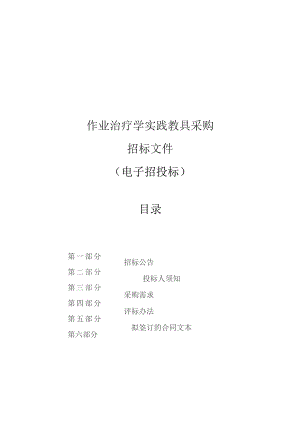 中医药大学作业治疗学实践教具采购招标文件.docx