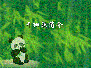 干细胞简介.ppt.ppt
