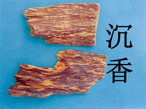 沉香的鉴定.ppt