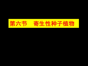 园林植物病理学第三章寄生性种子植物.ppt