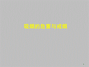 吸烟的危害与戒烟.ppt