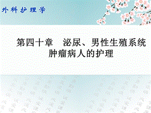 第四十章泌尿男性生殖系统肿瘤病人的护理.ppt