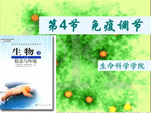 免疫调节说课稿.ppt
