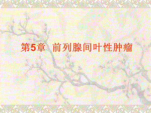 前列腺间叶性肿瘤.ppt