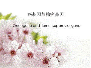 第十一章癌基因与抑癌基因.ppt.ppt