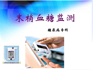 末梢血糖监测..ppt