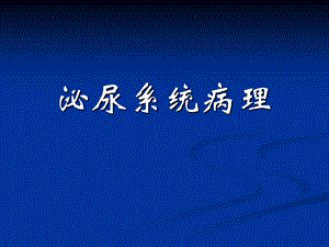 泌尿系统病理.ppt