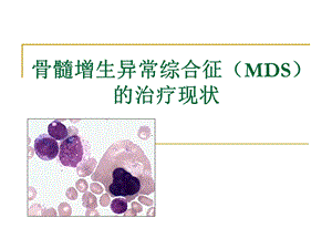 骨髓增生异常综合征MDS的诊疗现状.ppt