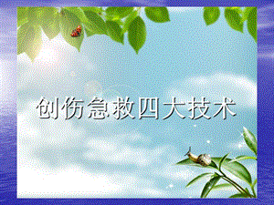 创伤急救四项技术.ppt