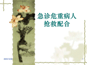 急诊危重病人抢救中的医护配合.ppt