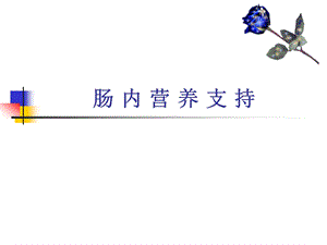 肠内营养支持.ppt.ppt