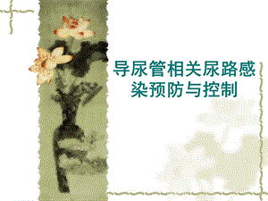 导尿管相关尿路感染预防与控制.ppt.ppt