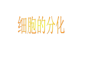 细胞的分化衰老、凋亡、癌变PPT.ppt