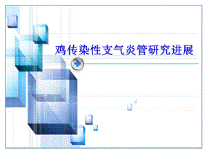 传染性支气管炎预防.ppt