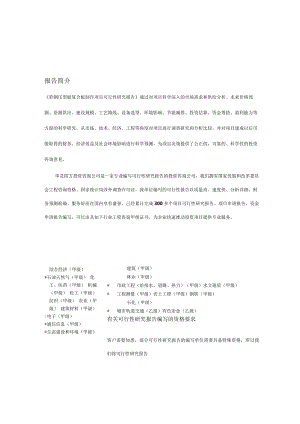 彩钢压型板复合板制作项目可行性研究报告.docx