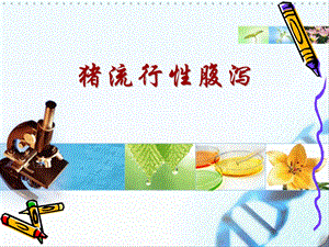 猪流行性腹泻病.ppt.ppt
