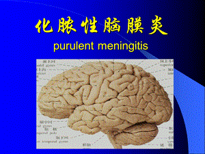 化脓性脑膜炎1.ppt