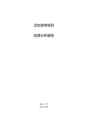正时皮带项目经营分析报告.docx