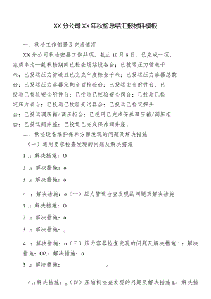 公司检查总结汇报材料模板.docx