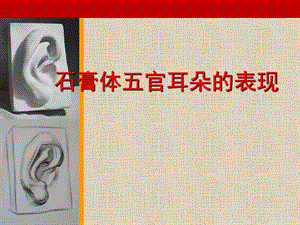 石膏体五官耳朵的表现.ppt.ppt