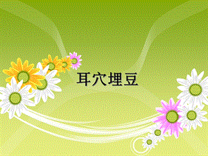 耳穴埋豆.ppt