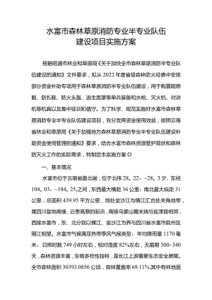 水富市森林草原消防专业半专业队伍建设项目实施方案.docx