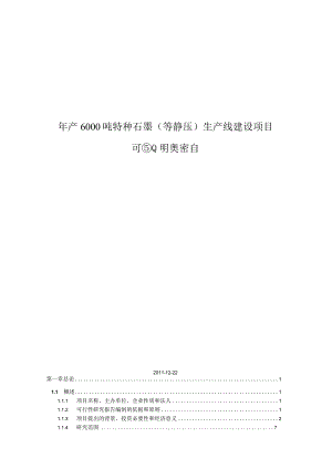 年产6000吨特种等静压石墨生产线建设项目可行性研究报告.docx