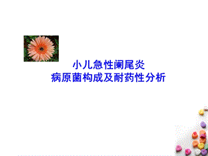 小儿急性阑尾炎病原菌构成及耐药性研究.ppt