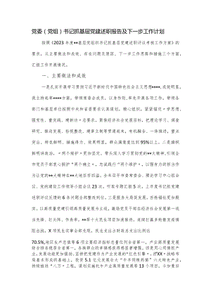 党委（党组）书记抓基层党建述职报告及下一步工作计划.docx