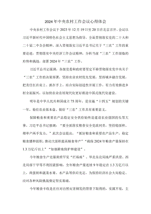 2024年中央农村工作会议心得体会三.docx