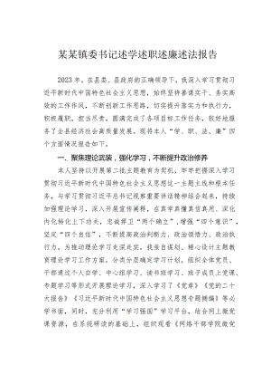 某某镇委书记述学述职述廉述法报告.docx