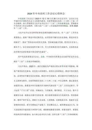 2024年中央农村工作会议心得体会一.docx
