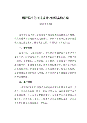 缙云县应急指挥规范化建设实施方案.docx