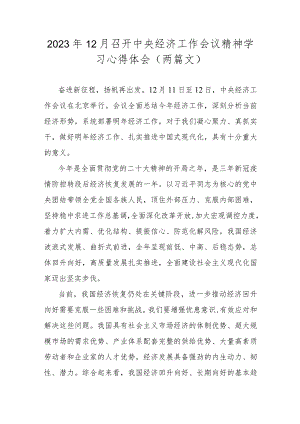 2023年12月召开中央经济工作会议精神学习心得体会（两篇文）.docx