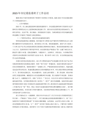 2023年市纪委监委班子工作总结.docx