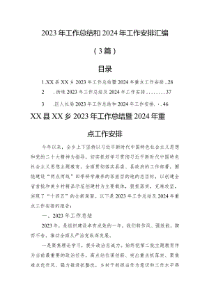2023年工作总结和2024年工作安排汇编（3篇）.docx