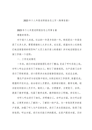 2023年个人年度述职报告怎么写（集锦5篇）.docx