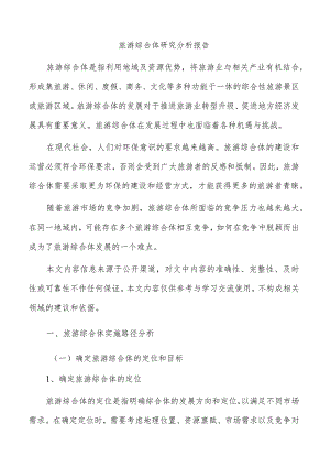 旅游综合体研究分析报告.docx