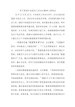 村干部《学习贯彻中央经济》工作会议精神合计4份.docx
