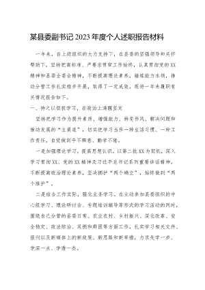 某县委副书记2023年度个人述职报告材料.docx