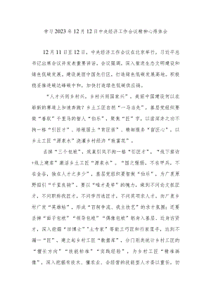 学习2023年12月12日中央经济工作会议精神心得体会3篇.docx