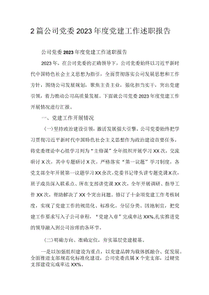 2篇公司党委2023年度党建工作述职报告.docx